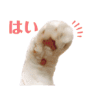 COCOココ（個別スタンプ：13）