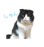COCOココ（個別スタンプ：15）