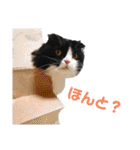 COCOココ（個別スタンプ：20）