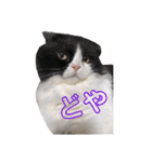 COCOココ（個別スタンプ：21）