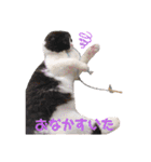COCOココ（個別スタンプ：23）
