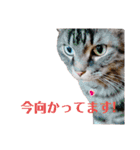 COCOココ（個別スタンプ：32）