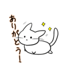 白まるねこ（個別スタンプ：3）