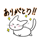 白まるねこ（個別スタンプ：4）