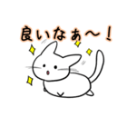 白まるねこ（個別スタンプ：14）