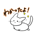 白まるねこ（個別スタンプ：16）