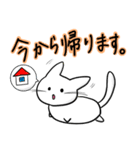 白まるねこ（個別スタンプ：34）