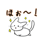 白まるねこ（個別スタンプ：39）