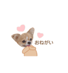 どうも、ちくわです5（個別スタンプ：4）