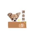 どうも、ちくわです5（個別スタンプ：12）