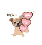 どうも、ちくわです5（個別スタンプ：24）