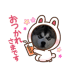 Crystal HasMara Dogs（個別スタンプ：10）