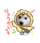 Crystal HasMara Dogs（個別スタンプ：11）