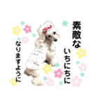 くるみちゃんのつぶやきpart2（個別スタンプ：27）