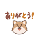 ふさふさコヨーテ（でか文字）（個別スタンプ：3）