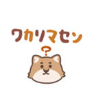 ふさふさコヨーテ（でか文字）（個別スタンプ：24）