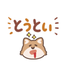 ふさふさコヨーテ（でか文字）（個別スタンプ：31）