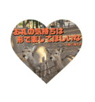 ならしか ～奈良の鹿たちの日常～（個別スタンプ：16）
