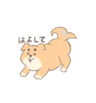 ゆる〜く生きてる犬（個別スタンプ：21）