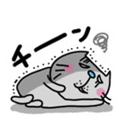ra！mのネコスタンプ 8 (ゆるーい敬語)（個別スタンプ：15）