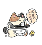 ねこぬいちゃん（個別スタンプ：10）