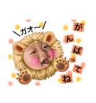 ゆとくん‪ꔛ‬すたんぷ（個別スタンプ：3）