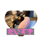 まぁさんによるまぁさんのためのスタンプ（個別スタンプ：2）