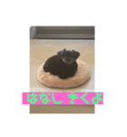 まぁさんによるまぁさんのためのスタンプ（個別スタンプ：3）
