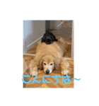 まぁさんによるまぁさんのためのスタンプ（個別スタンプ：5）