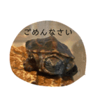 マロンのお友達と一緒（個別スタンプ：11）