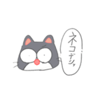 なまり。「なぞねこ」 日常①（個別スタンプ：1）