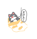 なまり。「なぞねこ」 日常①（個別スタンプ：16）