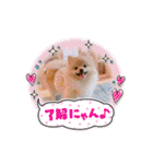 ねじゅしゅた☆（個別スタンプ：3）