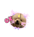 ねじゅしゅた☆（個別スタンプ：4）