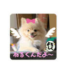 ねじゅしゅた☆（個別スタンプ：5）