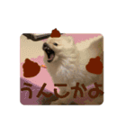 ねじゅしゅた☆（個別スタンプ：9）
