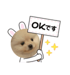 ねじゅしゅた☆（個別スタンプ：11）