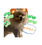 ねじゅしゅた☆（個別スタンプ：14）