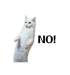 n.m.p（にこ・もこ・ぺこ）（個別スタンプ：2）