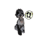 雪丸・雫・雪花╰( U ・ᴥ・)m2（個別スタンプ：2）