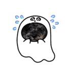 雪丸・雫・雪花╰( U ・ᴥ・)m2（個別スタンプ：19）