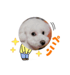 雪丸・雫・雪花╰( U ・ᴥ・)m2（個別スタンプ：23）