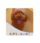 もーたんスタンプ！（個別スタンプ：1）