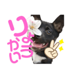 ましゅまろのすたんぷ（個別スタンプ：3）