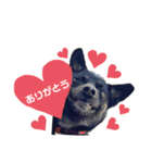 ましゅまろのすたんぷ（個別スタンプ：4）