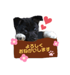 ましゅまろのすたんぷ（個別スタンプ：21）