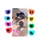 めんへらカップルスタンプ☆*。（個別スタンプ：9）