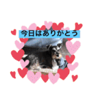 恵ママのコジちゃん（個別スタンプ：3）