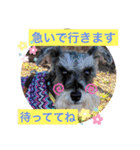 恵ママのコジちゃん（個別スタンプ：5）