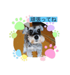 恵ママのコジちゃん（個別スタンプ：6）